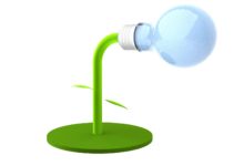 Dinoflagellantern