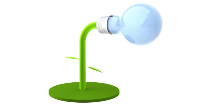 Dinoflagellantern